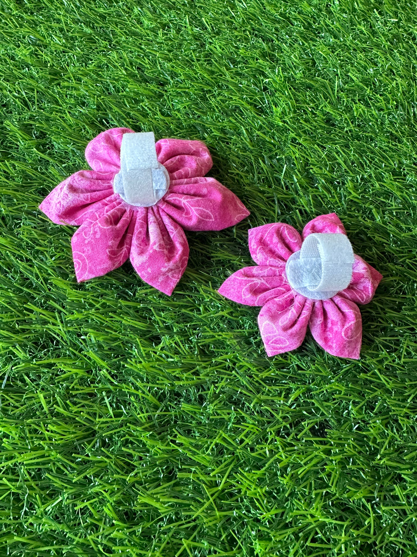 Hot Pink Collar Flower