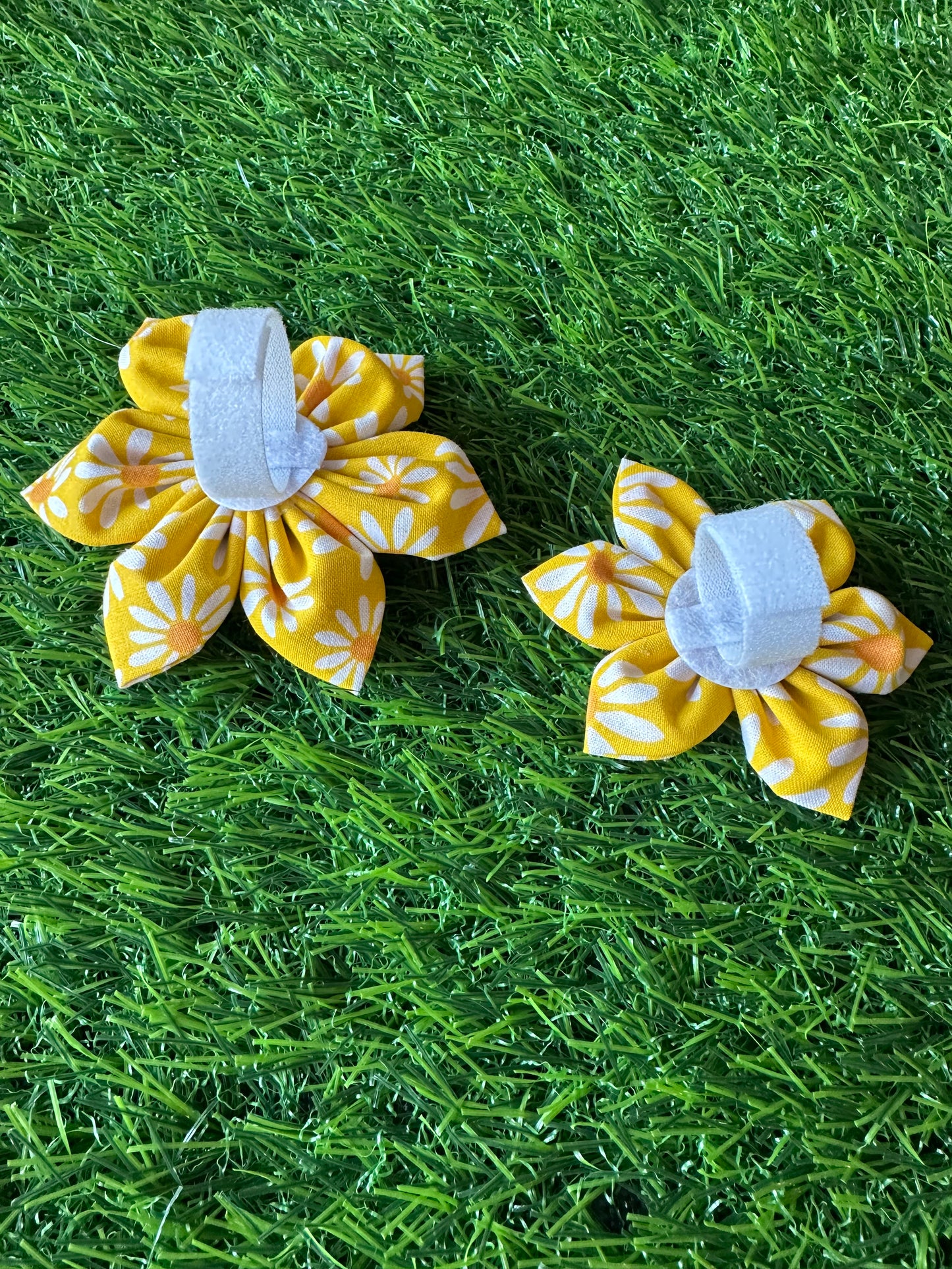 Yellow with White Daisy Collar Flower