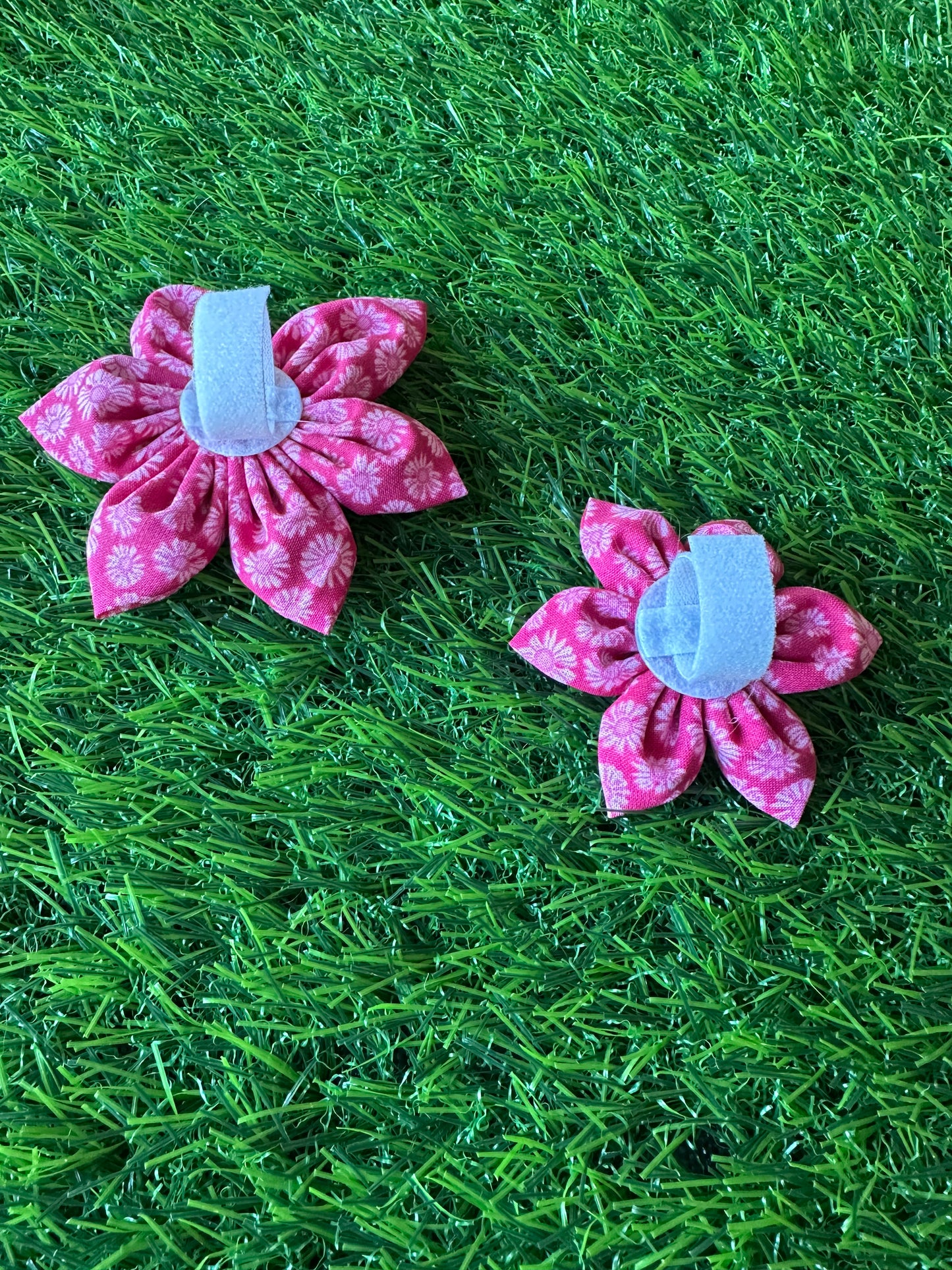 Pink with White Daisy Collar Flower