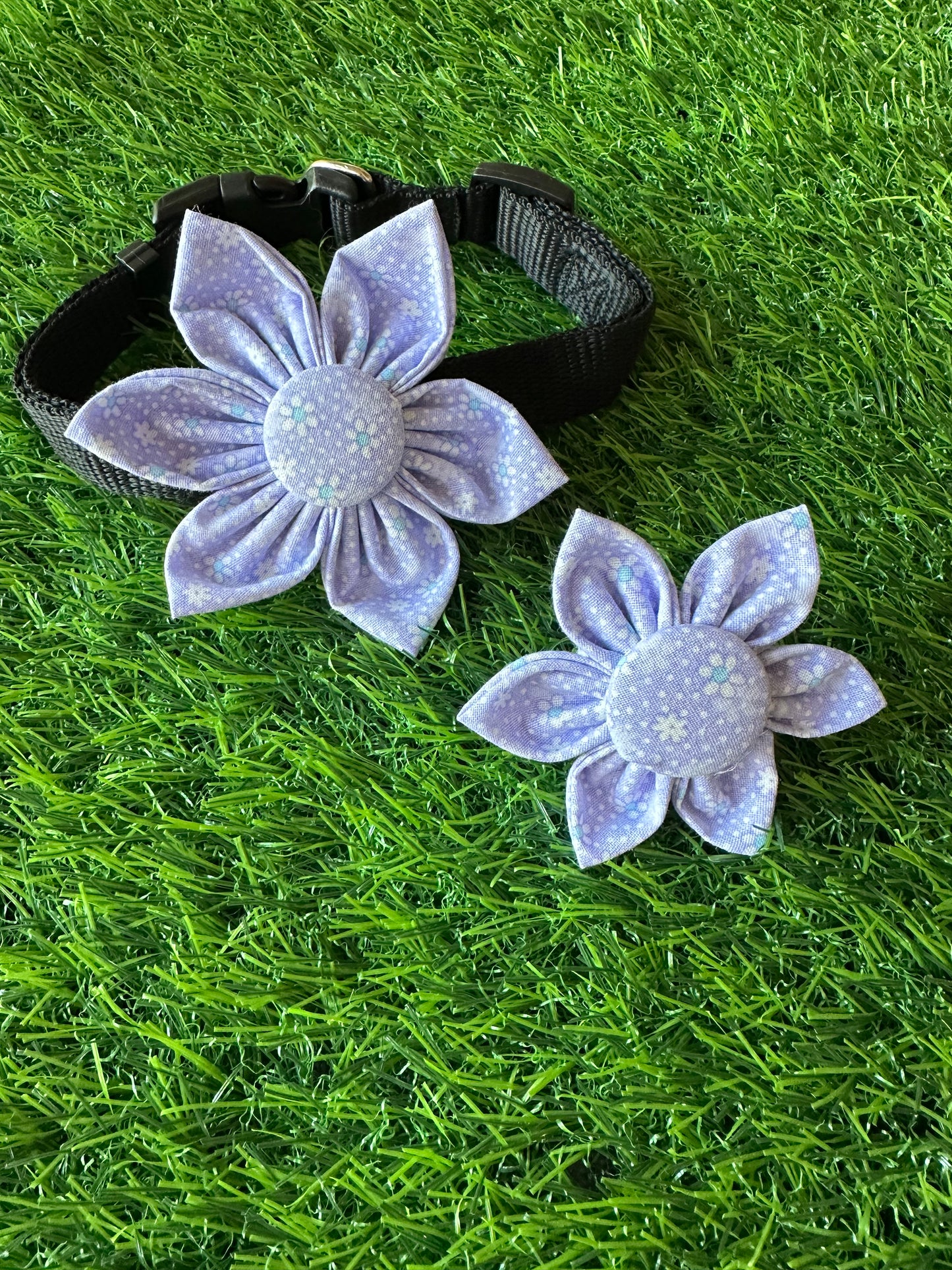Lavender with White Floral Collar Flower