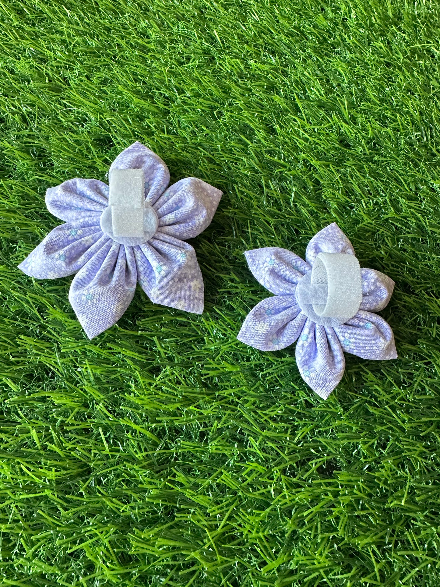 Lavender with White Floral Collar Flower