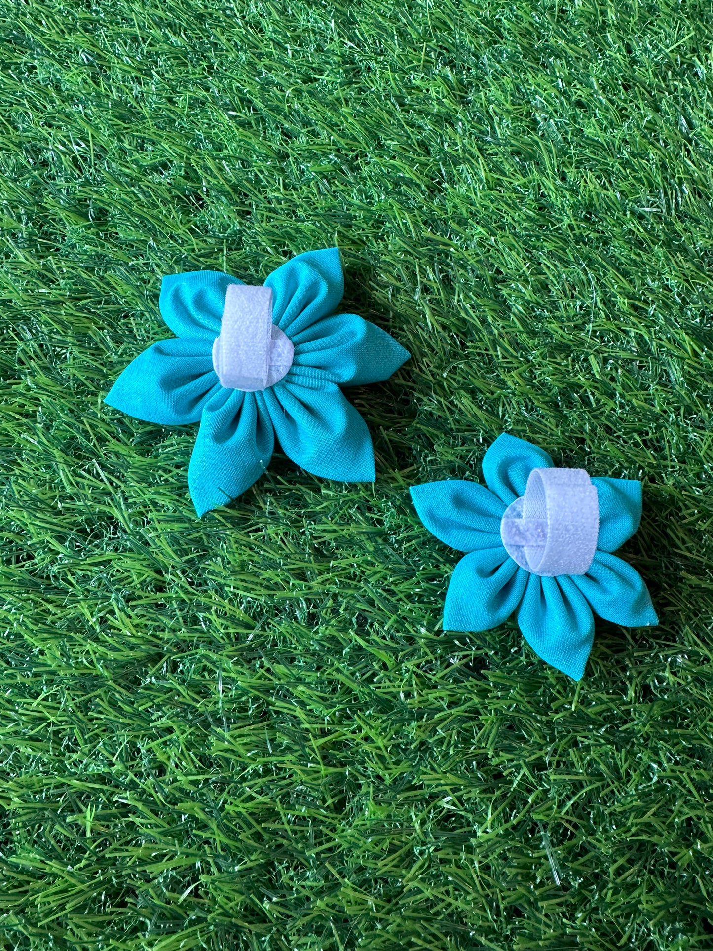 Turquoise Collar Flower