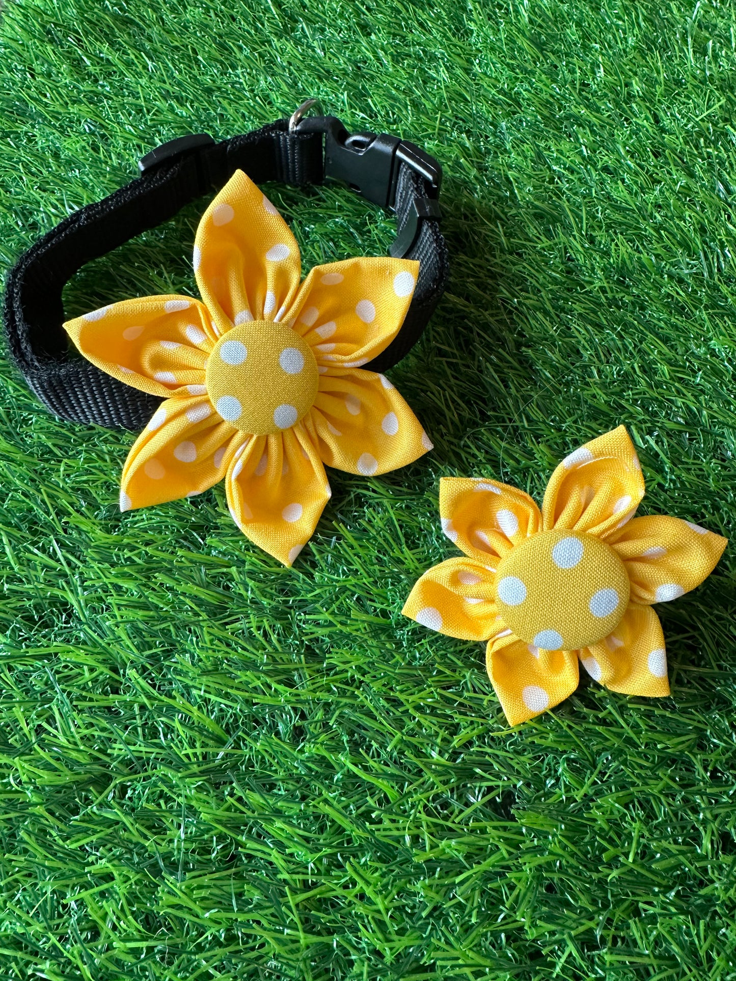 Yellow Polka Dots Collar Flower