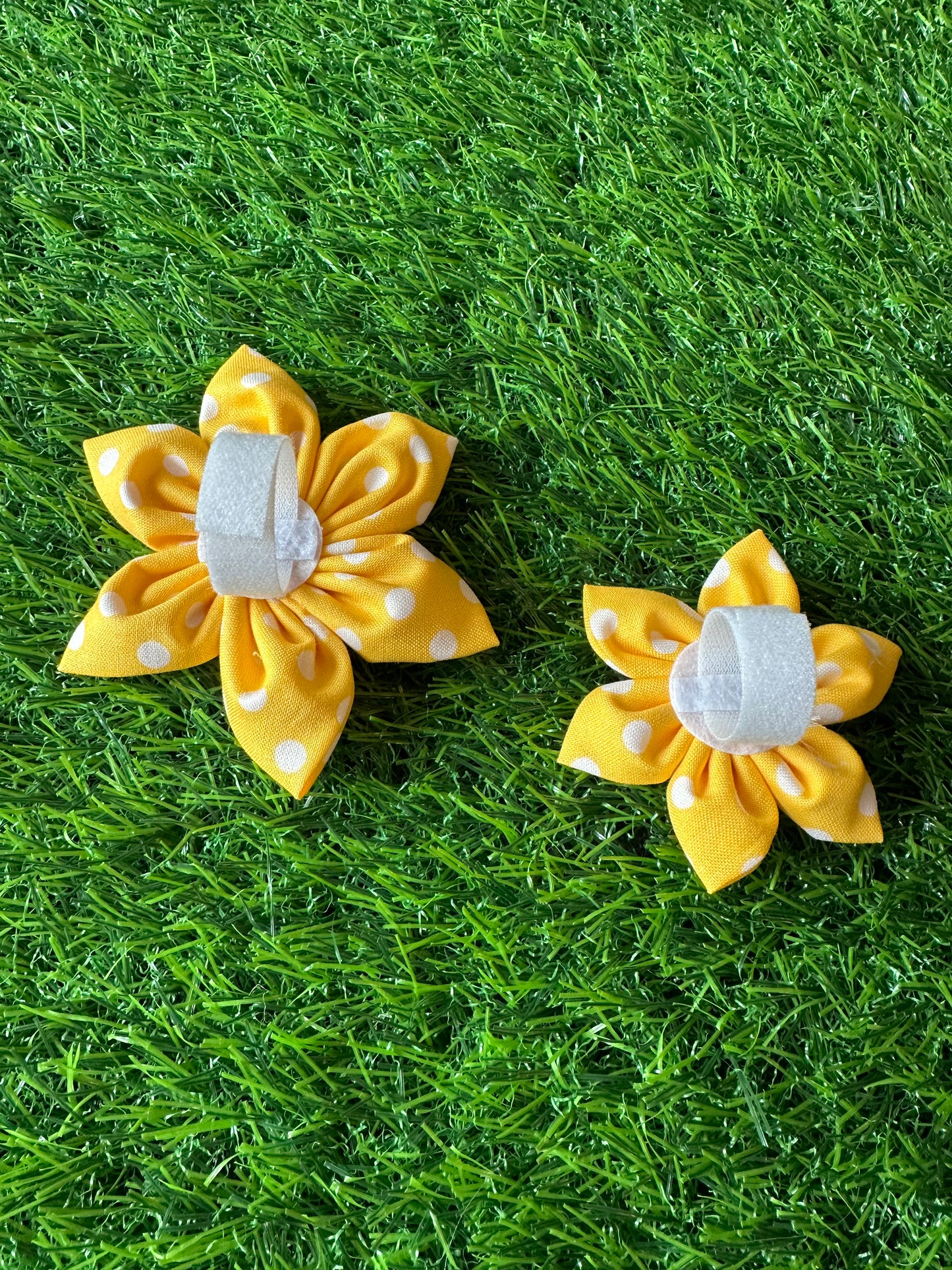 Yellow Polka Dots Collar Flower