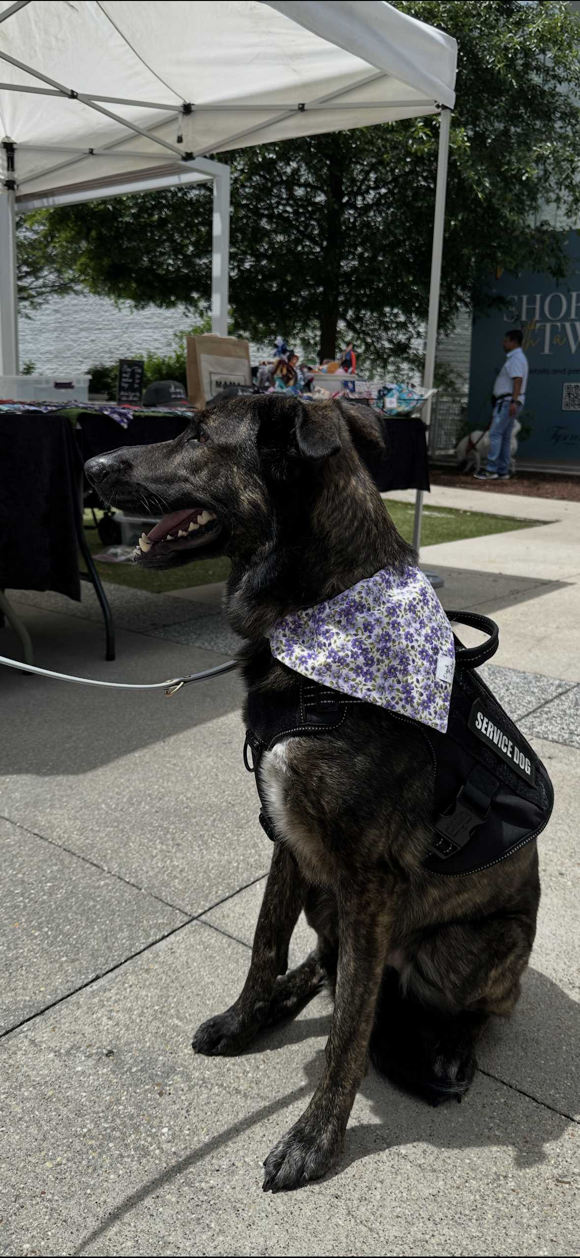 Purple Floral Dog Bandana