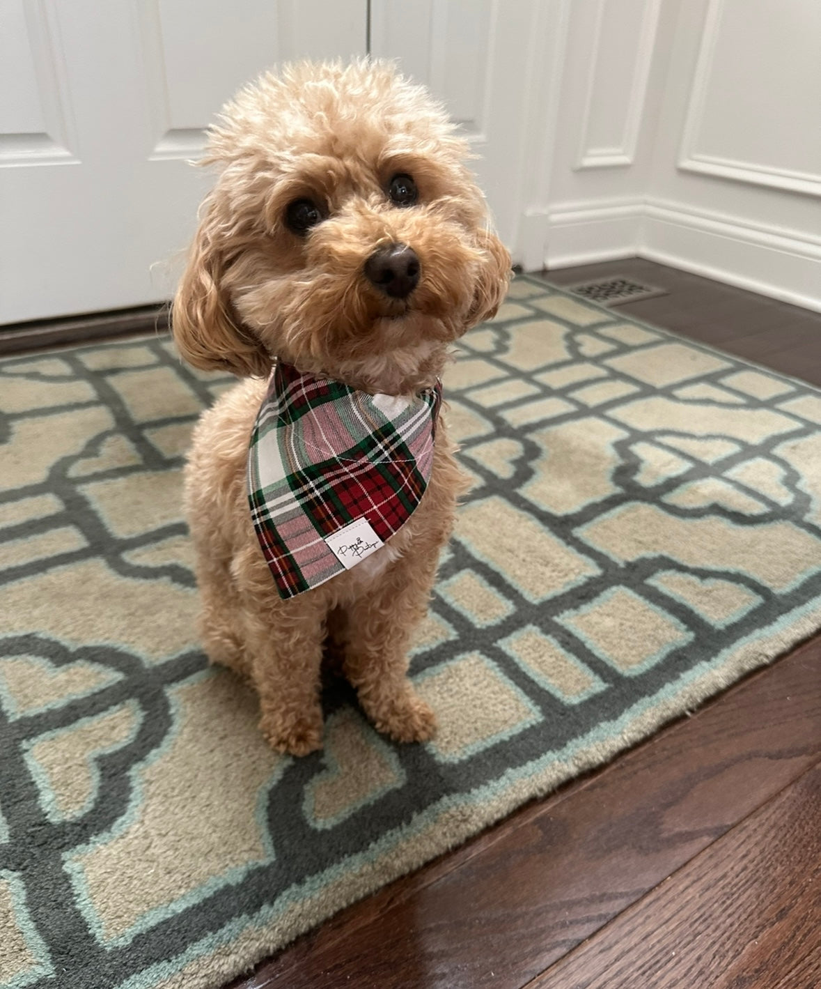 Holiday Plaid Dog Bandana
