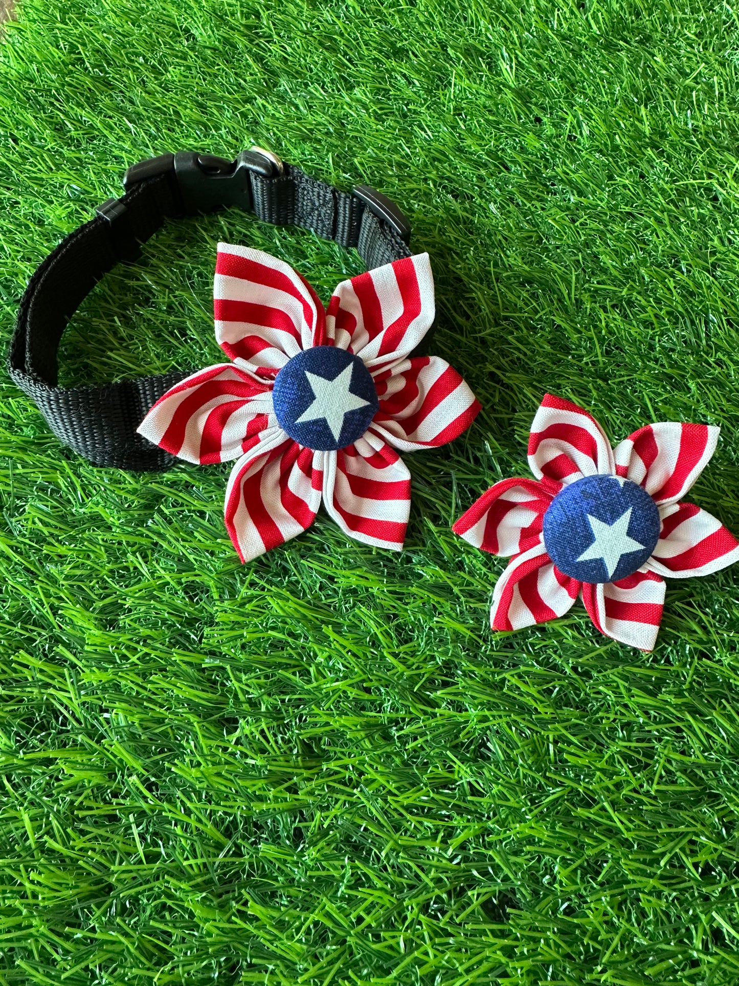 Red & White Stripe with Blue Star Collar Flower
