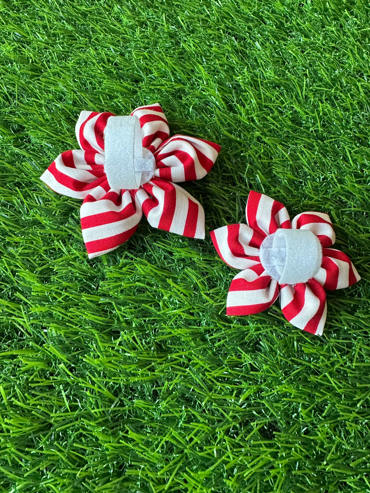 Red & White Stripe with Blue Star Collar Flower