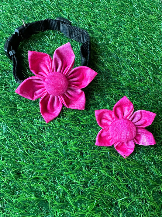 Pretty in Pink Collar Flower