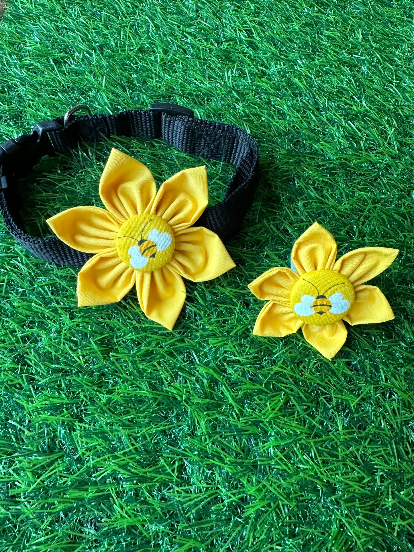 Bumble Bee on Yellow Collar Flower