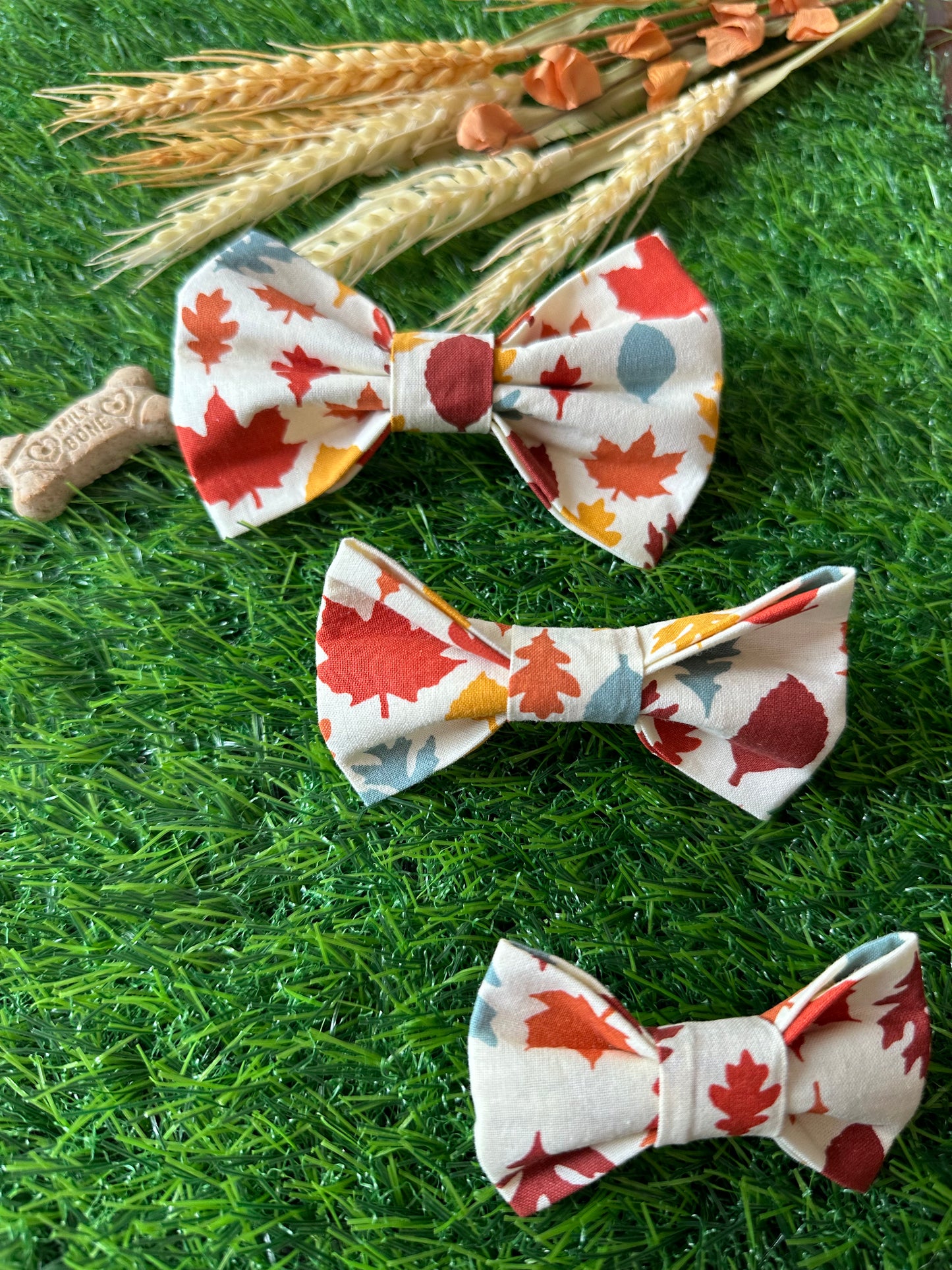 Fall Leaves Bow Tie