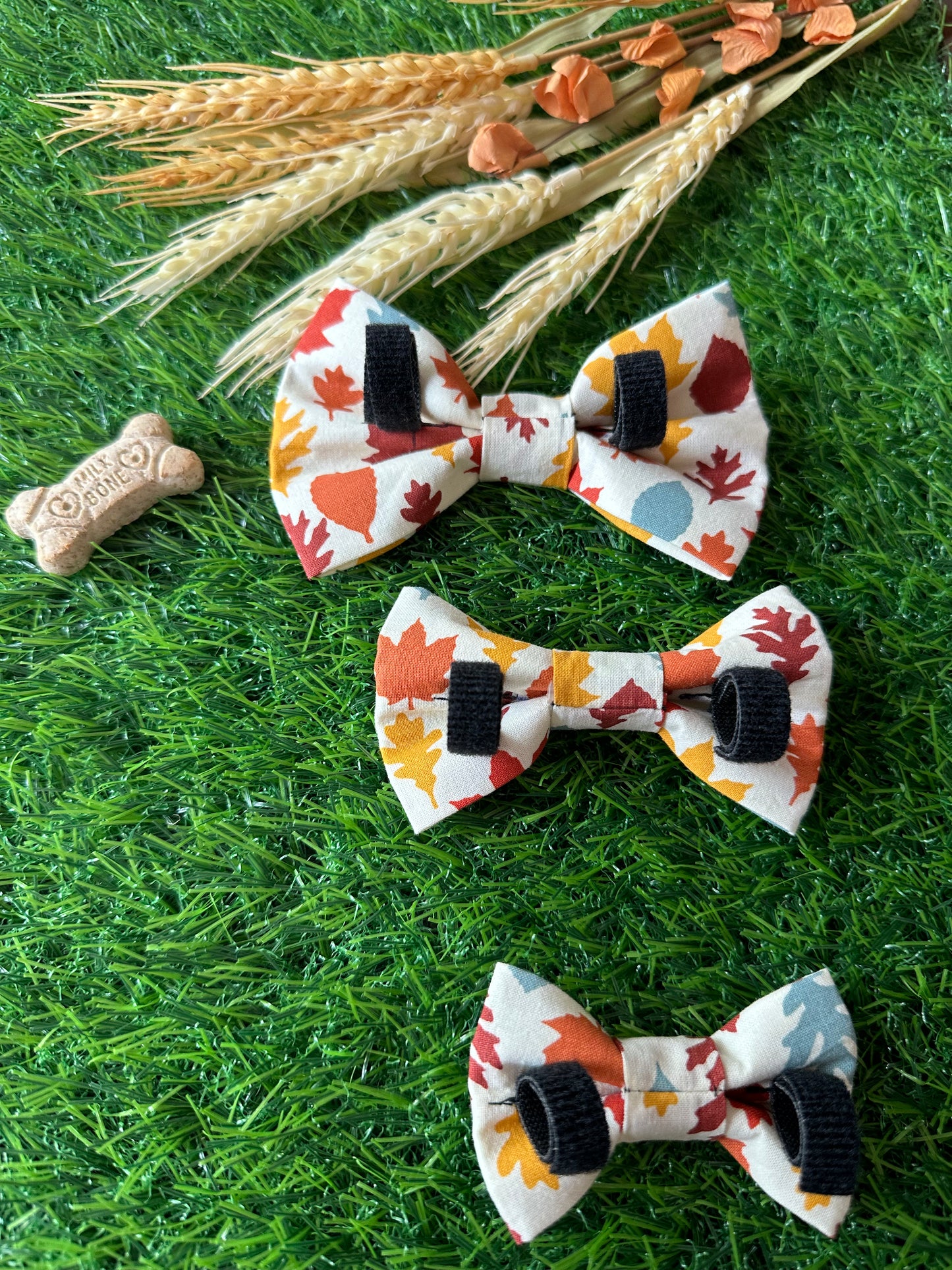 Fall Leaves Bow Tie